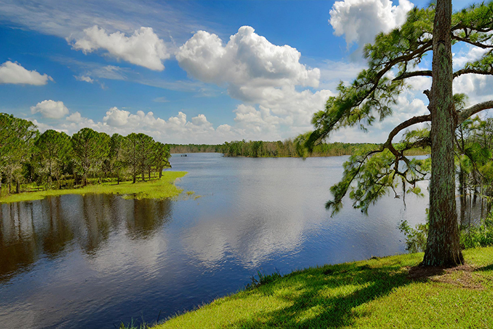 Louisiana