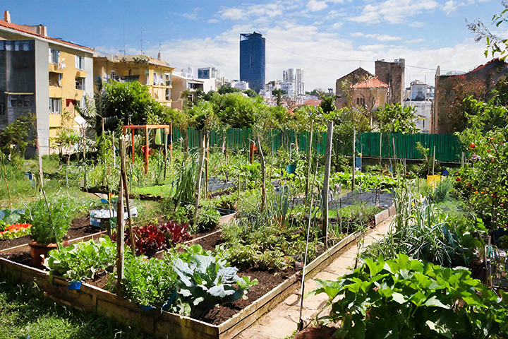 Community Gardening