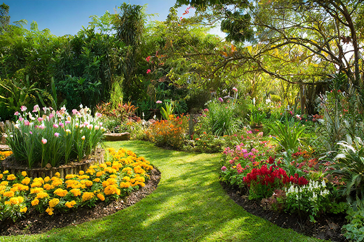 Flower Gardening