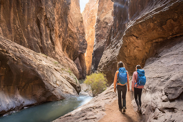 Canyon Hiking