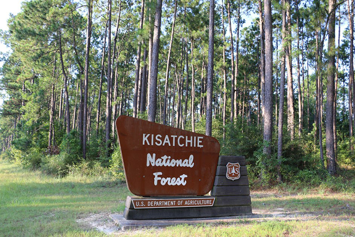 Kisatchie NF