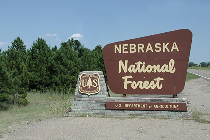 Nebraska Forest