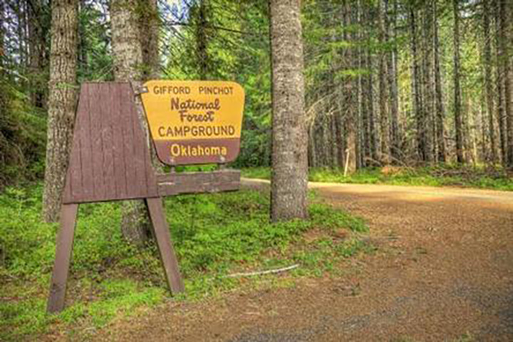 Gifford Forest