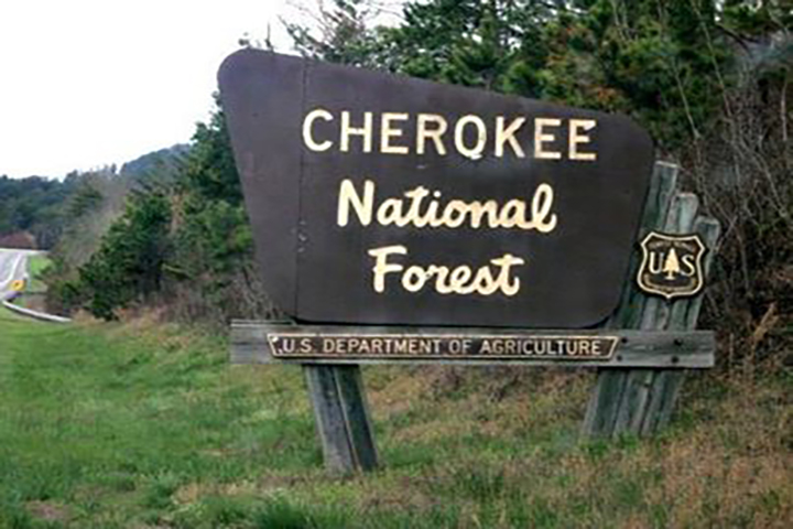 Cherokee Forest