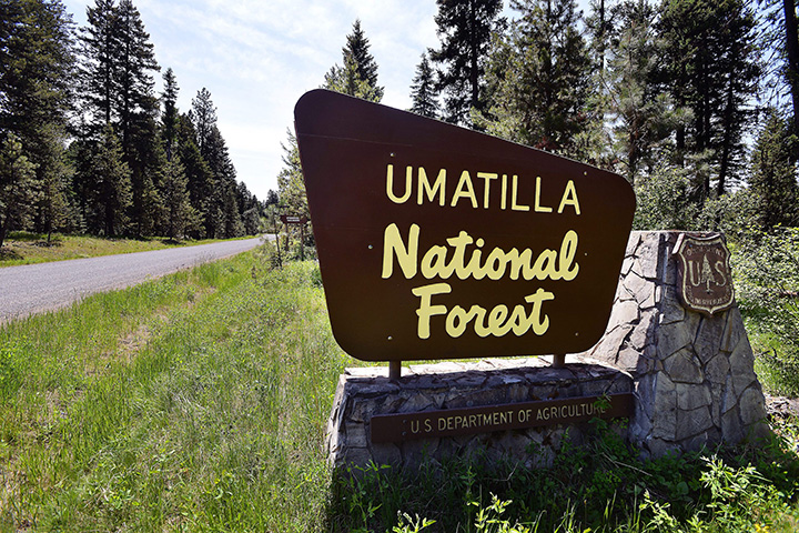 Umatilla National Forest