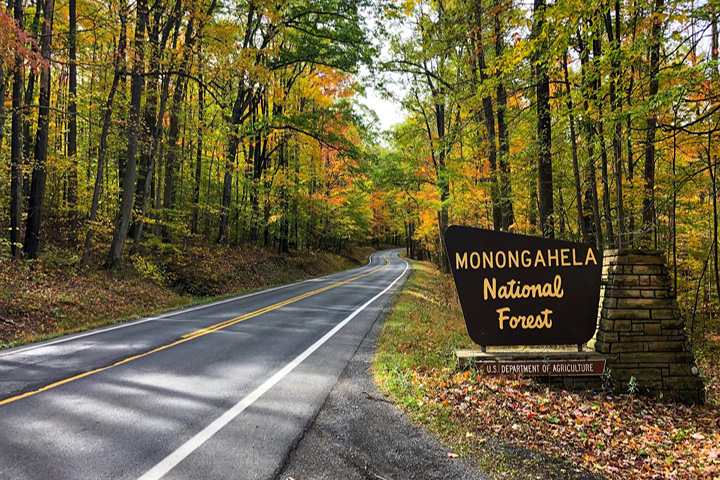 Monongahela